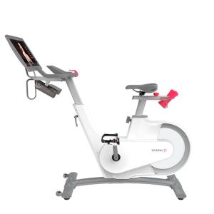 Купить Велотренажер Yesoul BV1-W PLUS в Тюмени 
